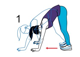 inchworm.jpg