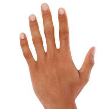 101774256.jpg