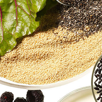101919833_amaranth.jpg