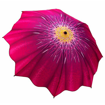 BCA-Umbrella.jpg