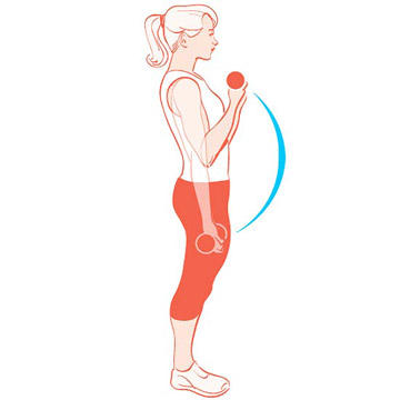 Biceps_Curls_1.jpg