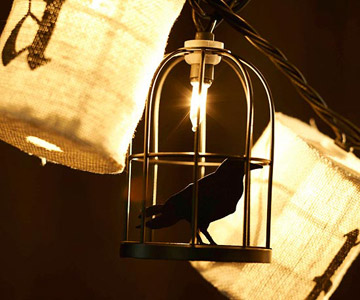 Caged-Crow-String-Lights.jpg