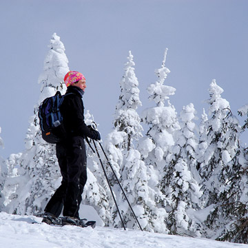QuebecCity-33576.jpg
