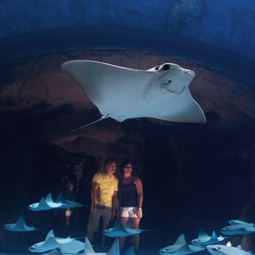 Slide6_Surrounded-by-Rays.jpg