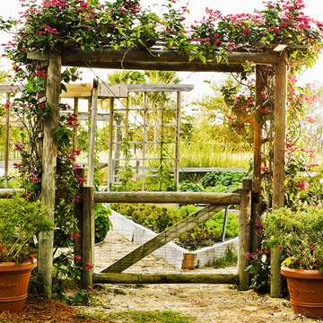 Slide7_MG-2119-Primo-Organic-Garden.jpg