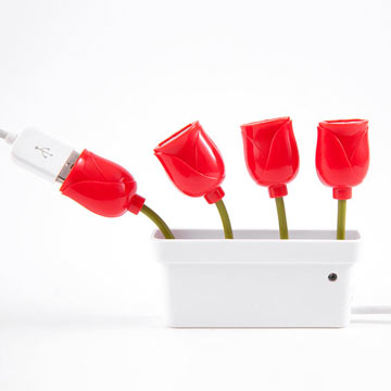 Tulips_USB.jpg