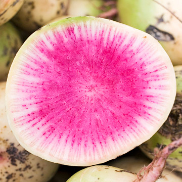 WatermelonRadish-HIRES.jpg
