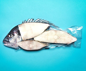 fish.jpg