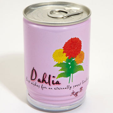 flower-in-a-can.jpg