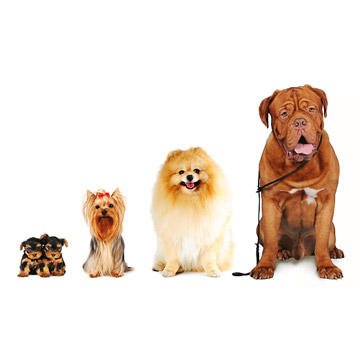 iStock_000010972481.jpg