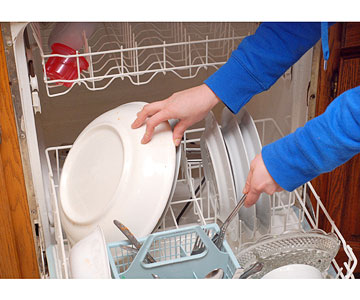 iStock_000011485786Small.jpg