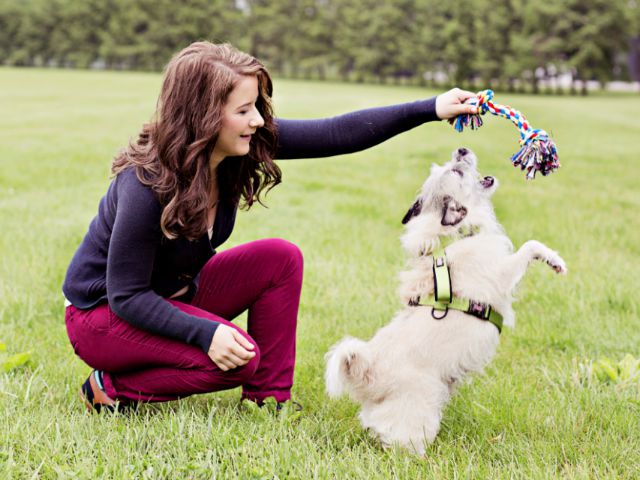 adopt pets event.jpg
