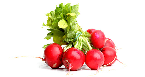 cr radishes.jpg