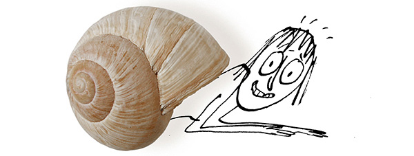 cr snail.jpg