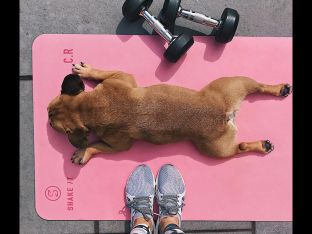 Better Exercise