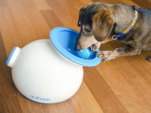 ifetch mini automatic ball launcher