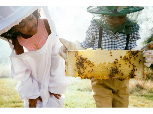 Children making honey