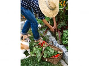 gardening