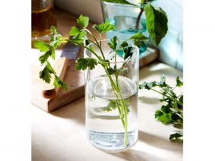 herbs in glass