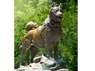 balto the dog