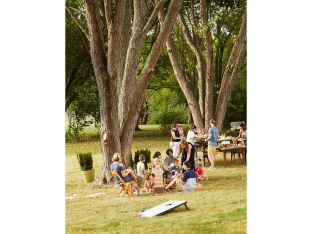 backyard bbq