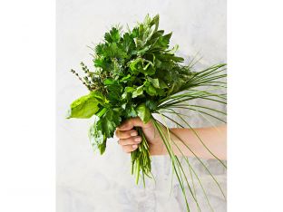 Herb bouquet
