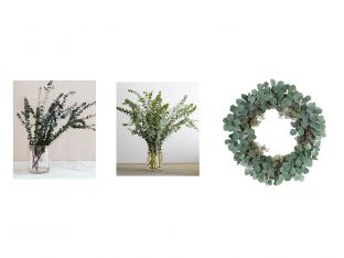 eucalyptus branches and wreath