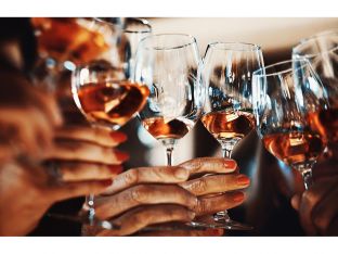 group of people holding wine glasses