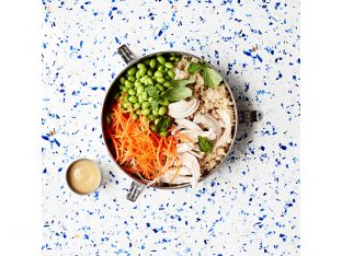 lunch bowl
