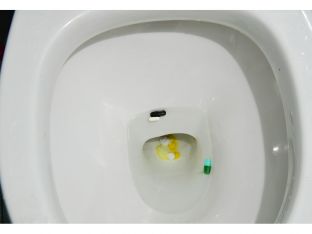 pills in toilet
