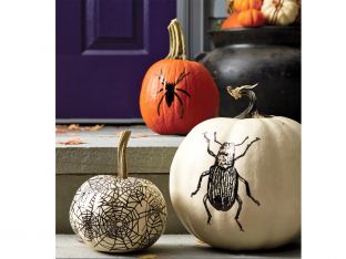 pumpkins