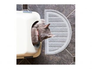 cat litter