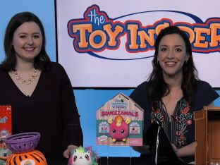 toy insider