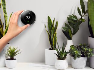 Thermostat with plants 2019