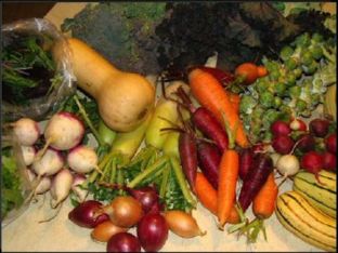 farm-share2.jpg