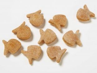 fish-treat.jpg