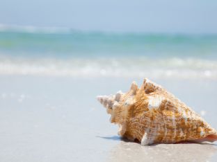 gettyimages-152892996_web.jpg