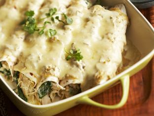 Creamy Chicken Enchiladas