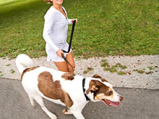 iStock_000001875155.jpg