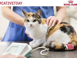 TakeYourCattotheVetDay.jpg.jpeg