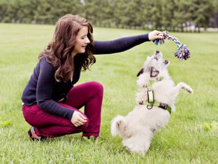 adopt pets event.jpg