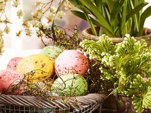 eggs for dye.jpg