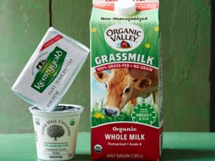 grass-feed-.jpg
