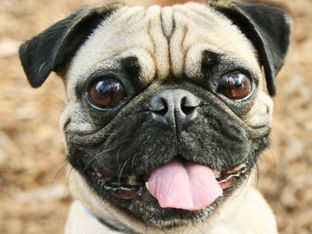 iStock_000005395643.jpg