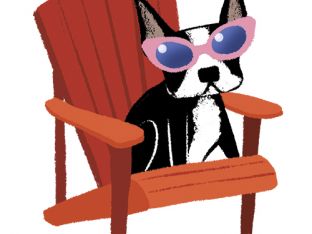 sunglasses.jpg