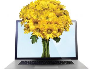 yellowflowrs.jpg
