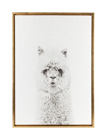 DesignOvation Sylvie Simon Te Tai 'Alpaca' Black and White Portrait Natural Framed Canvas Wall Art