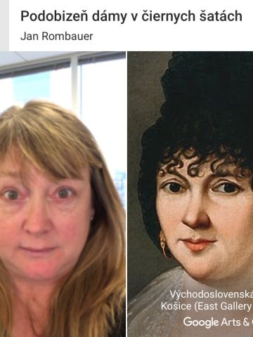 Google Arts & Culture App