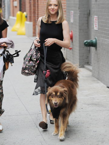 Amanda Seyfried and her dog Finn