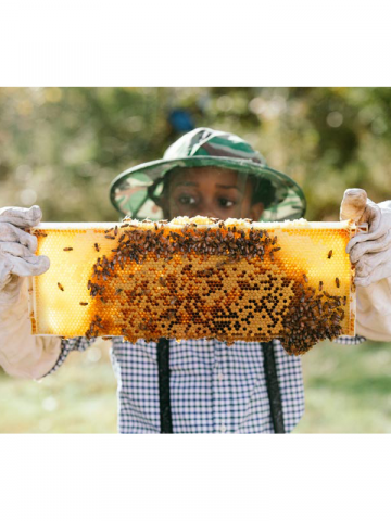 honey makers